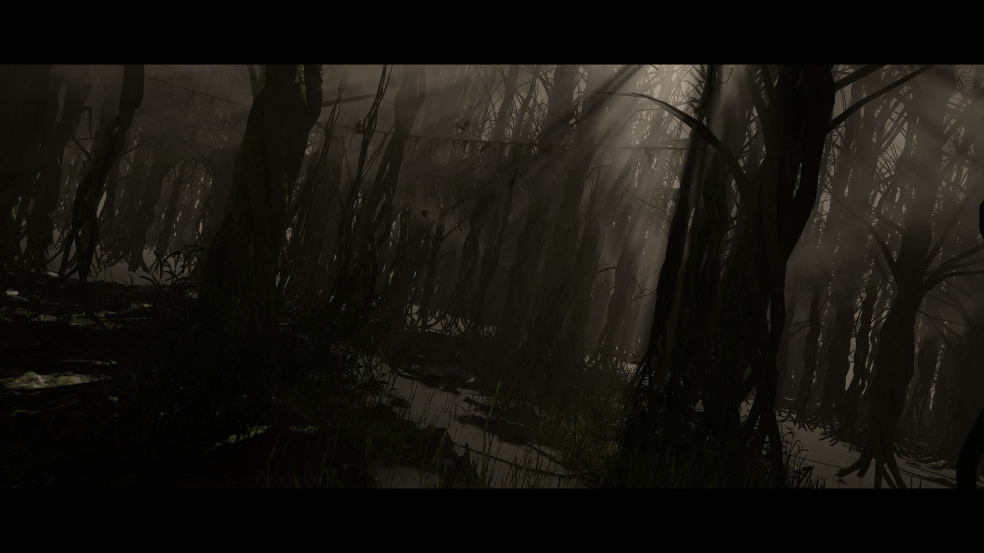Media 1 for listing Dark Swamp