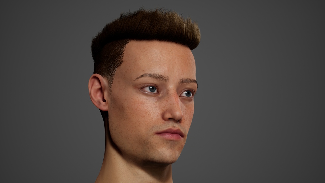 Media 1 for listing MetaHair 226- Groom hair for Metahumans - With low lowpoly version in additional