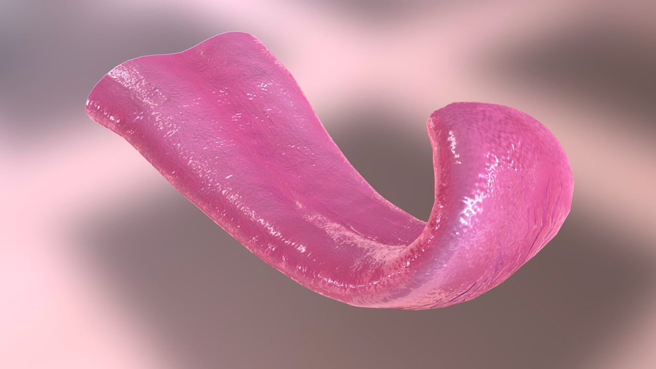 Media 1 for listing Large Tongue