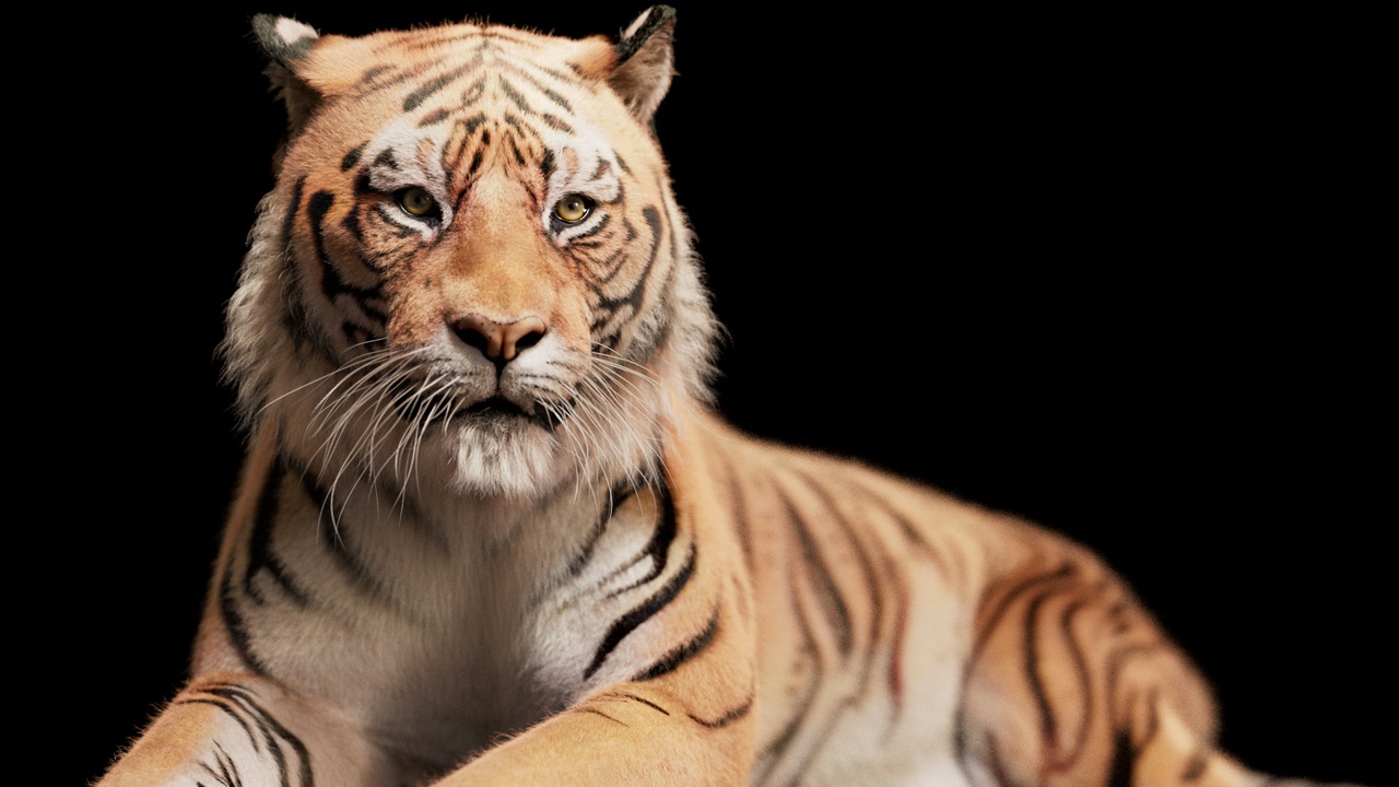 Media 1 for listing Tiger 2026 RIG Maya Xgen-core