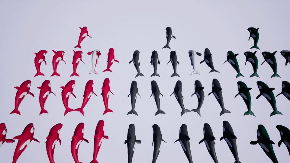 Shark, dolphin and other sea animals | Fab