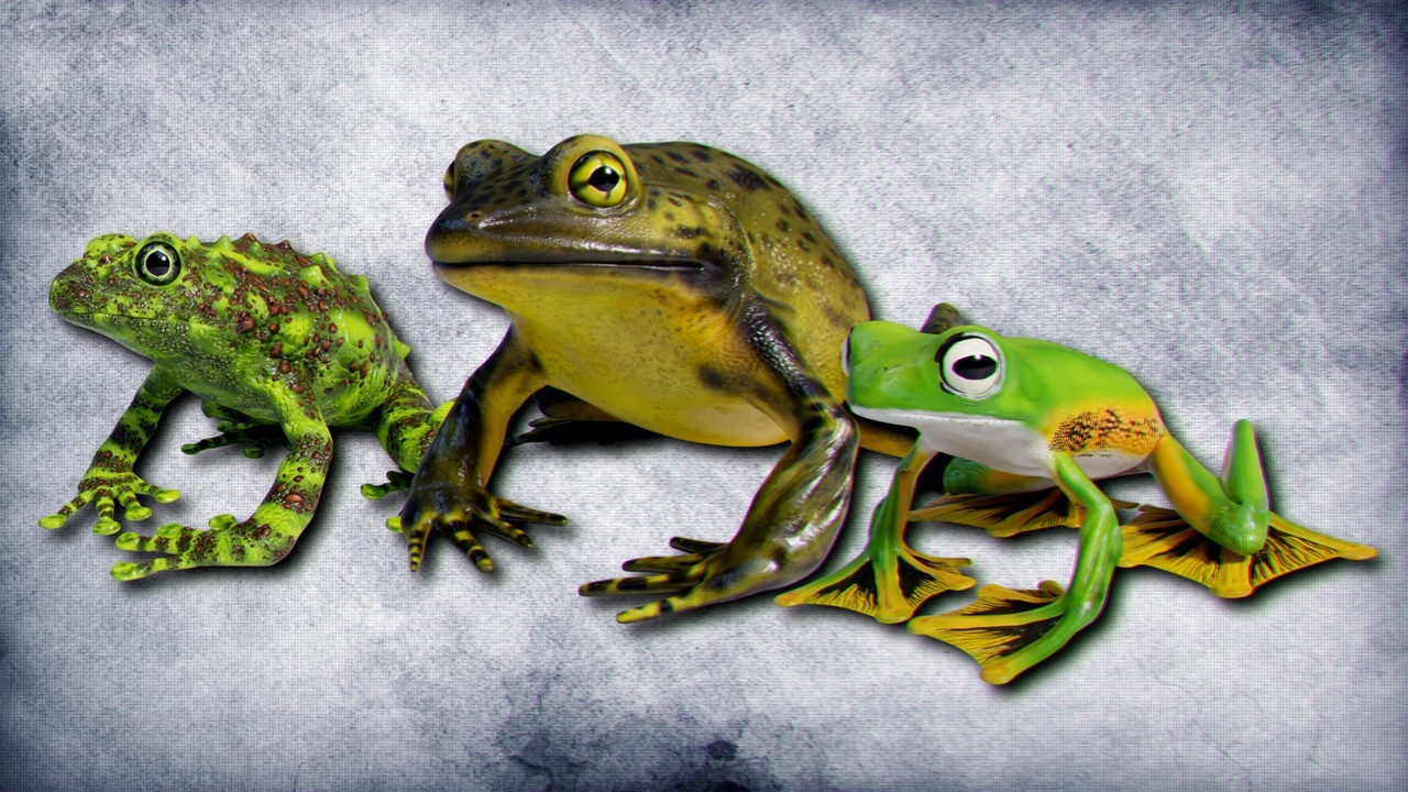 Media 1 for listing Animated Frogs Volume 2