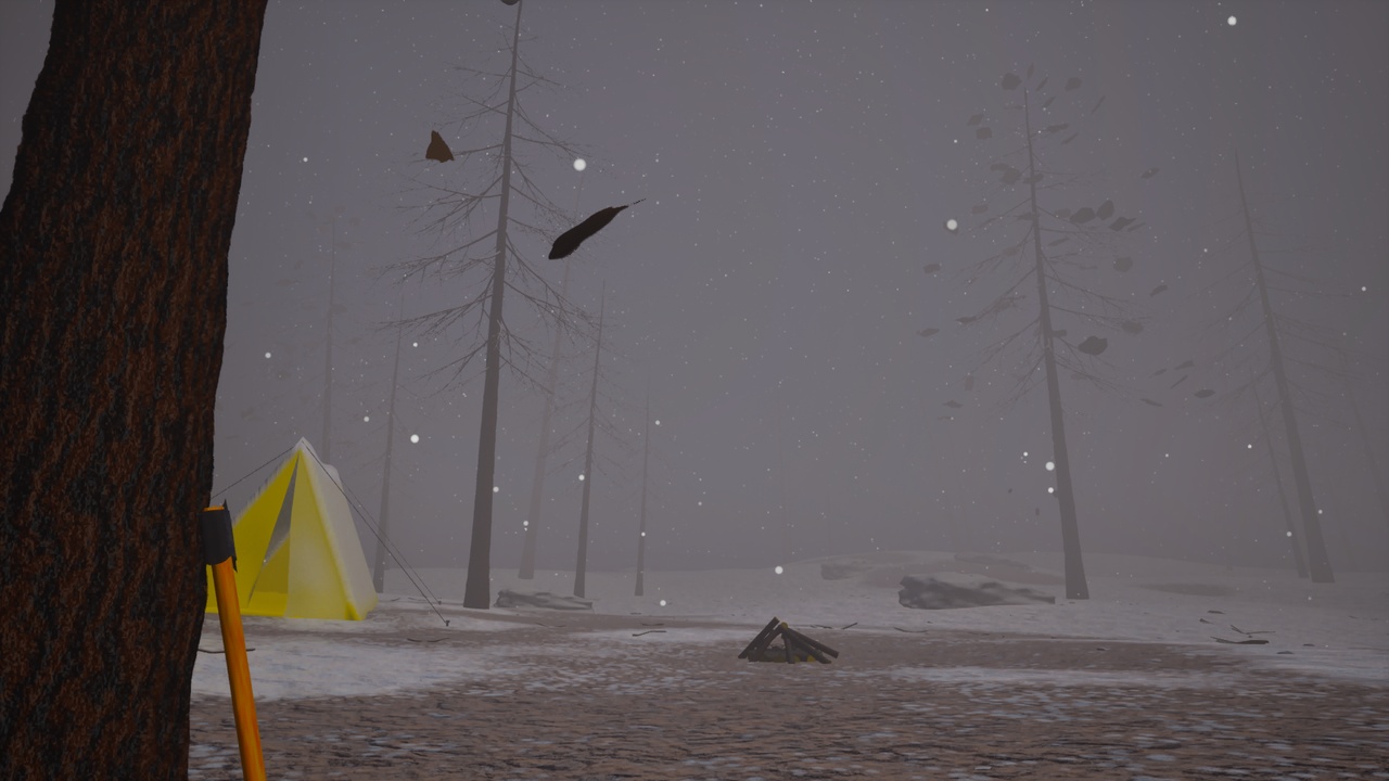 Media 1 for listing Snow Field