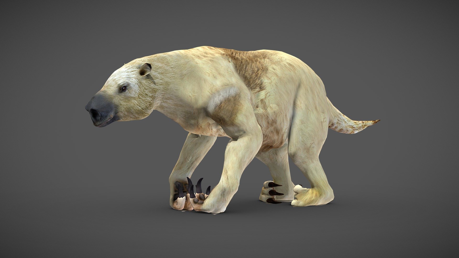 Megatherium
