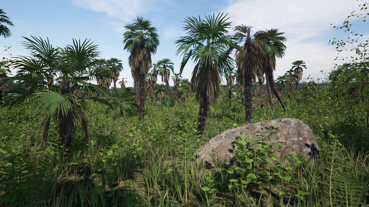 Media 1 for listing Palms Pack 01 (Trachycarpus fortunei)