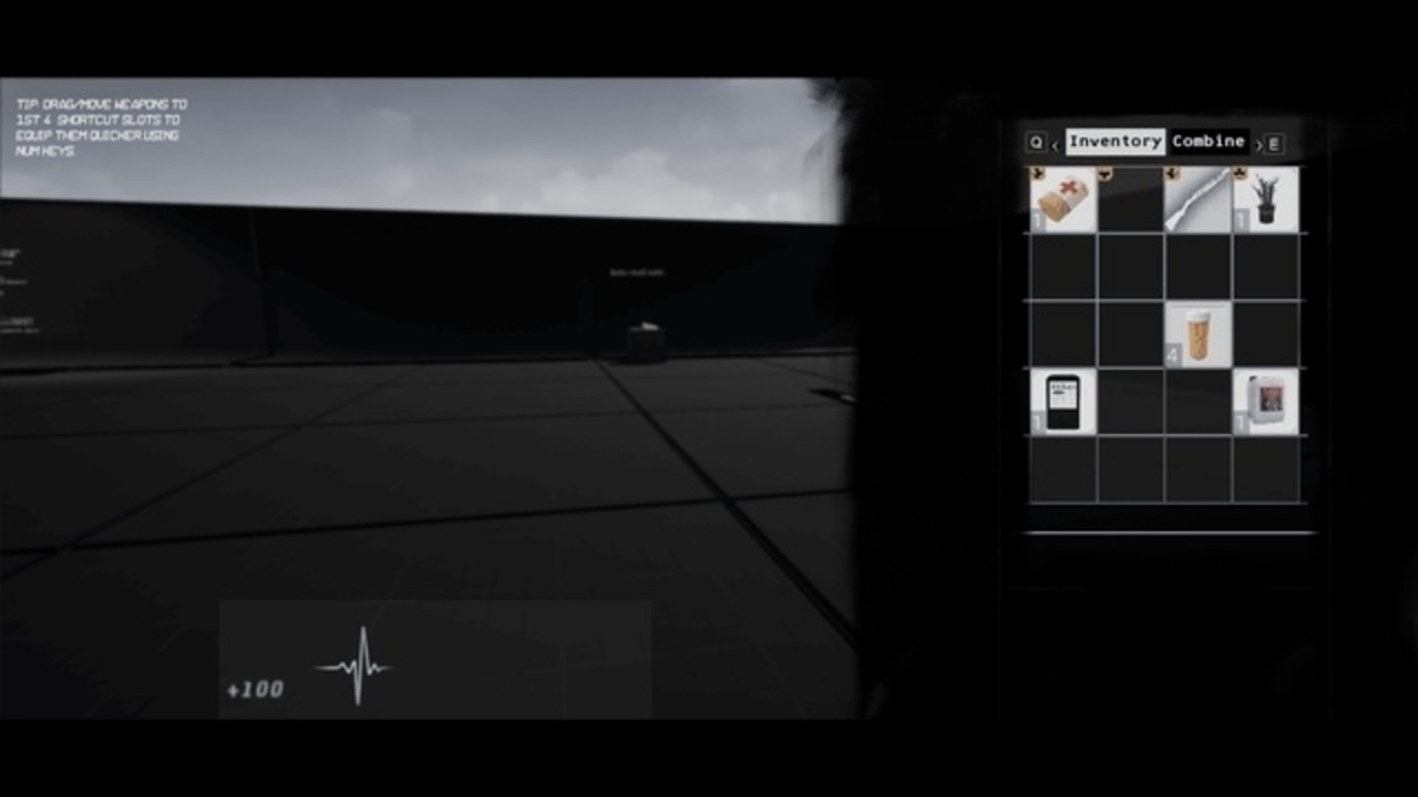 Media 1 for listing Survival Horror Inventory (re7)