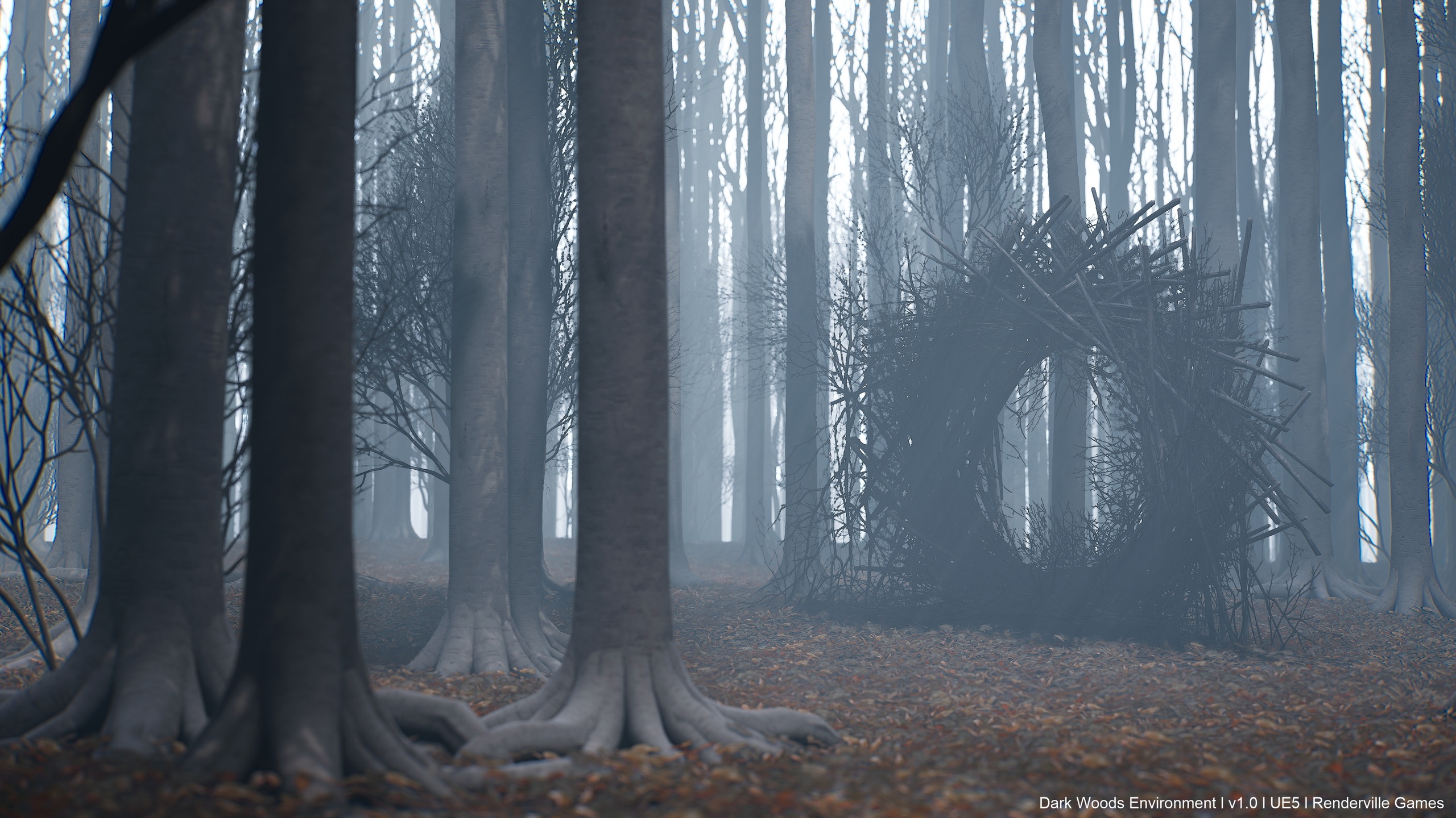 Media 1 for listing Dark Woods Environment