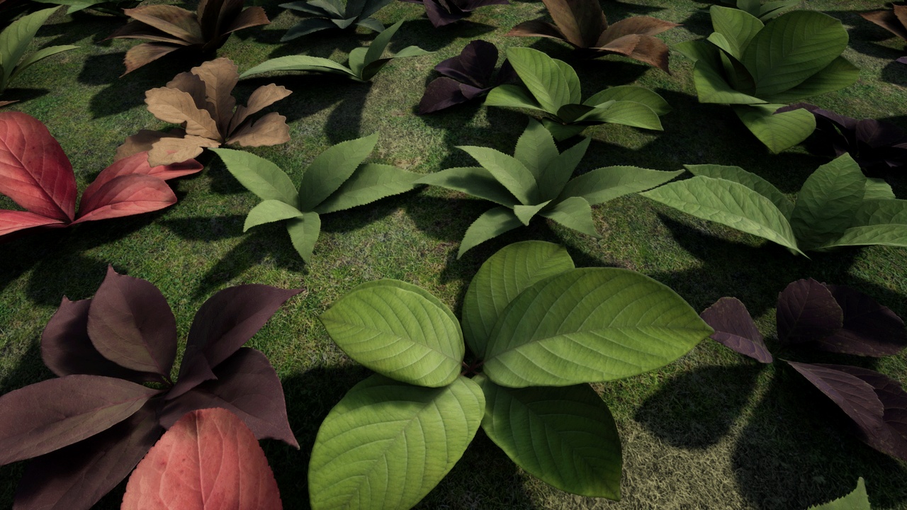 Media 1 for listing Broadleaf Plants