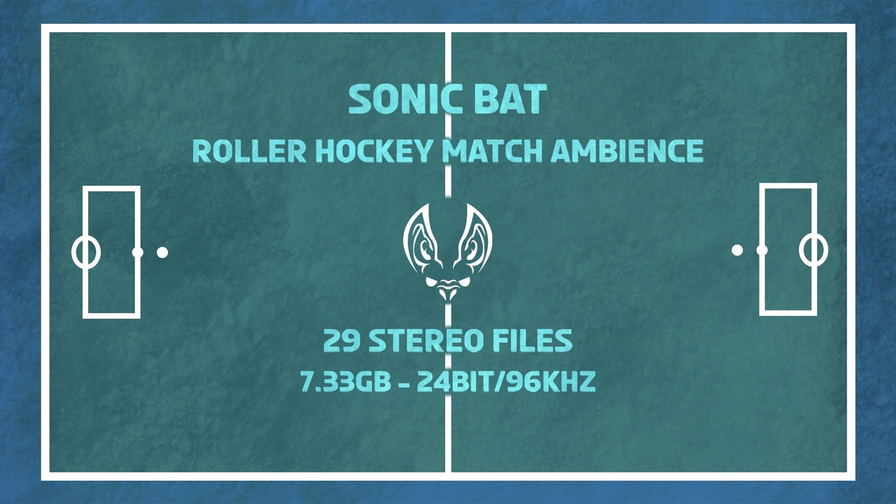 Media 1 for listing Roller Hockey Match Ambience