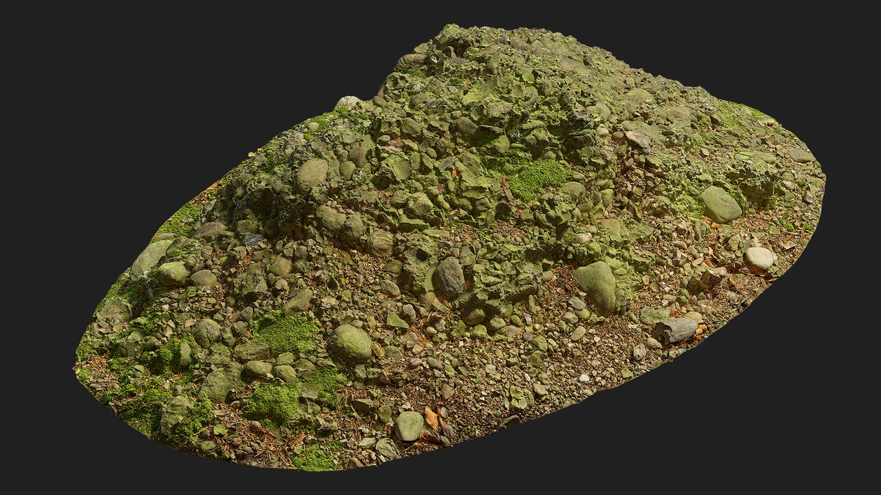 Media 1 for listing Forest European Broadleaf Ground Rock M 04