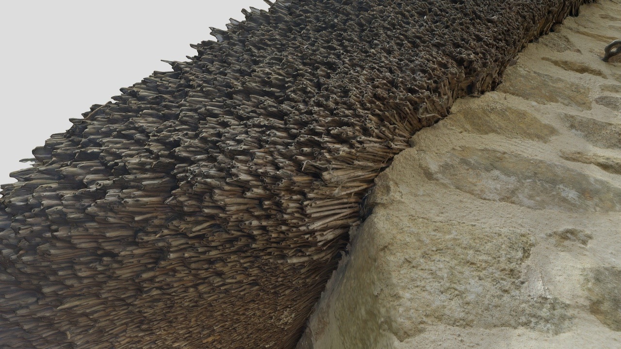 Media 1 for listing Thatch roof edge