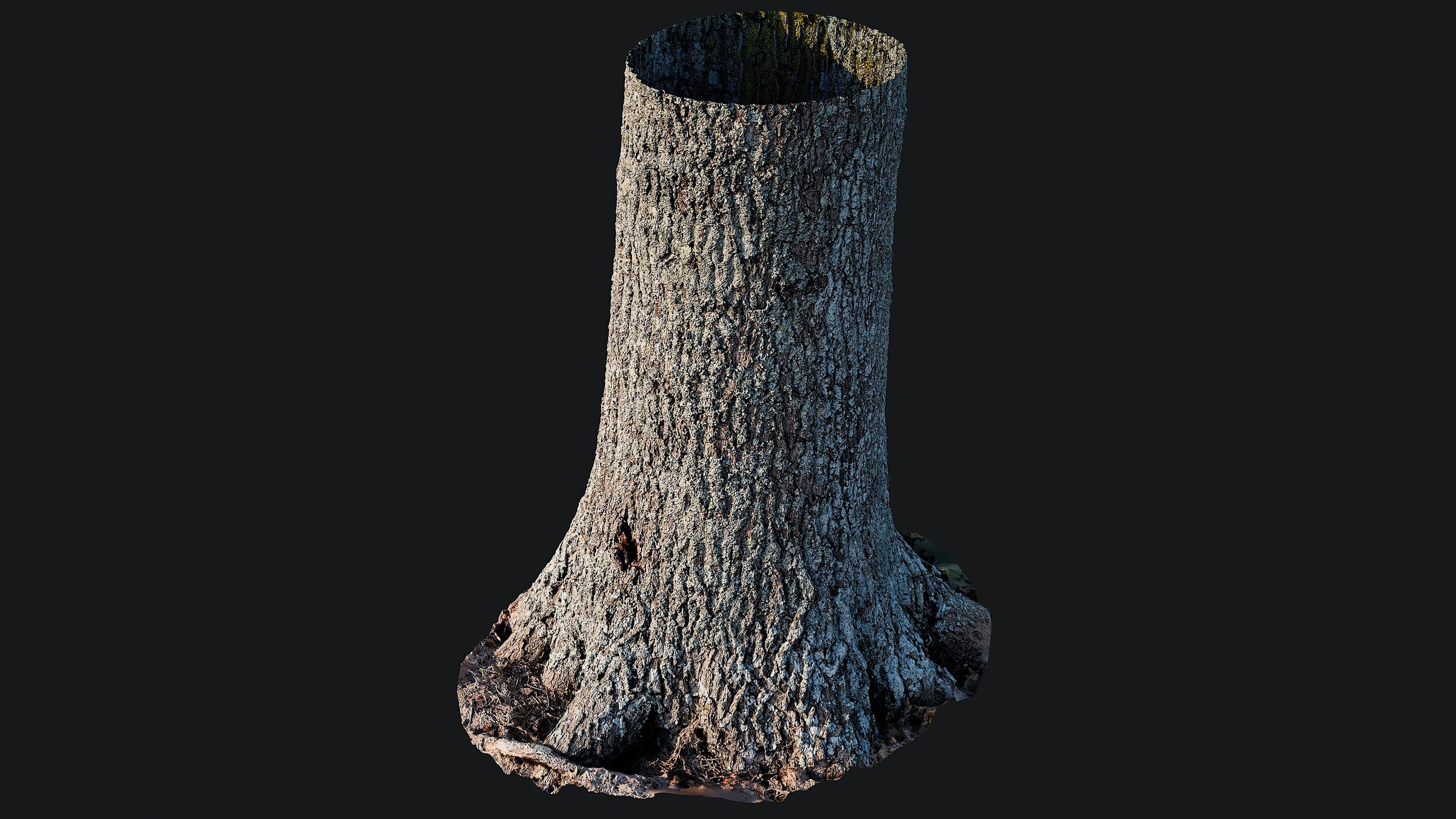 Media 1 for listing Oak Trunk Scan | 8K PBR