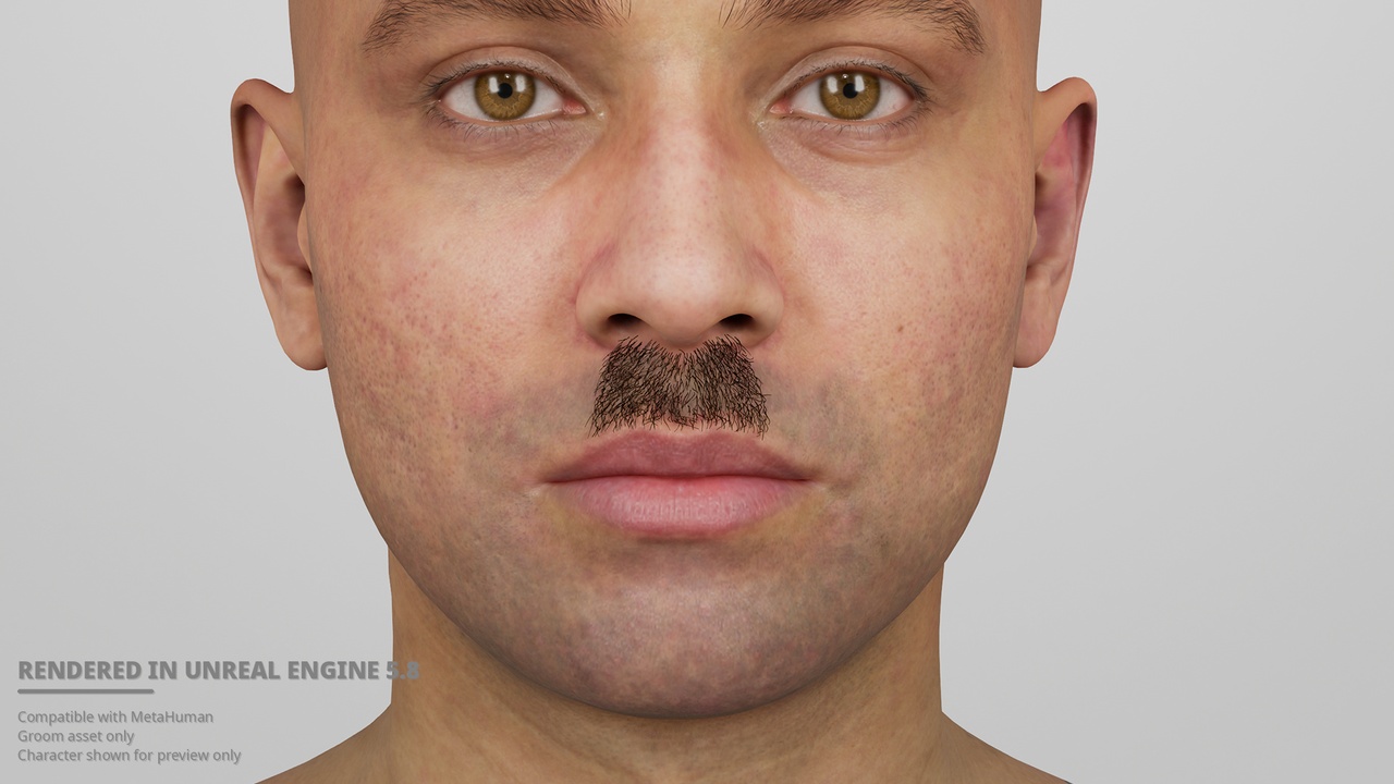 Media 1 for listing Short Box Mustache – MetaHuman Groom