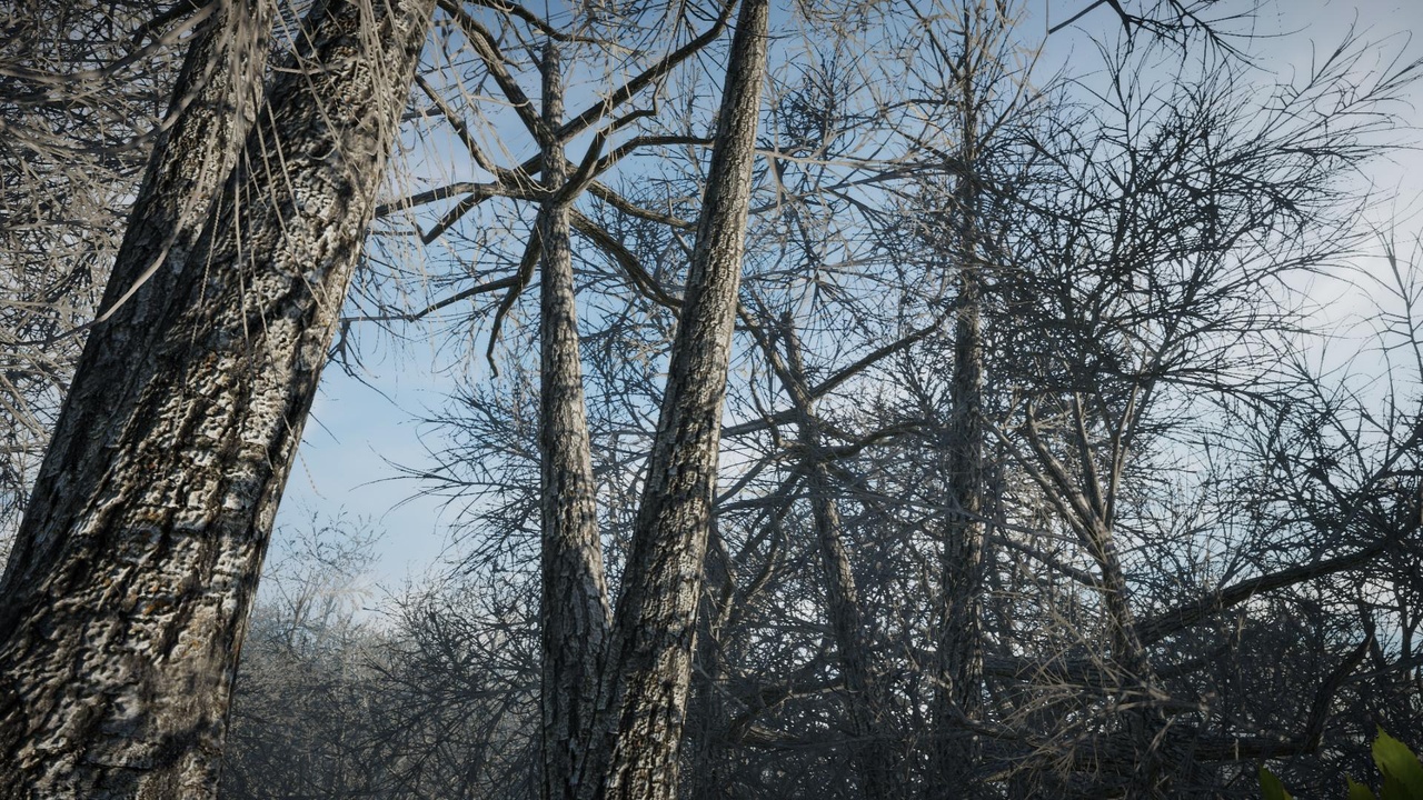 Media 1 for listing Mobile Winter Trees 12