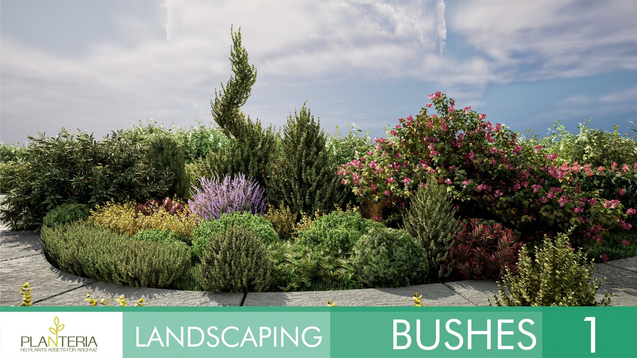 商品 Landscaping Bushes 1 的媒体 1
