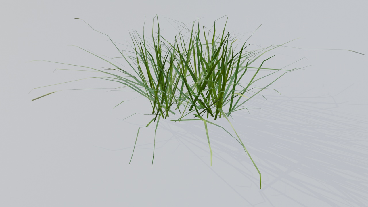 Media 1 for listing Grass