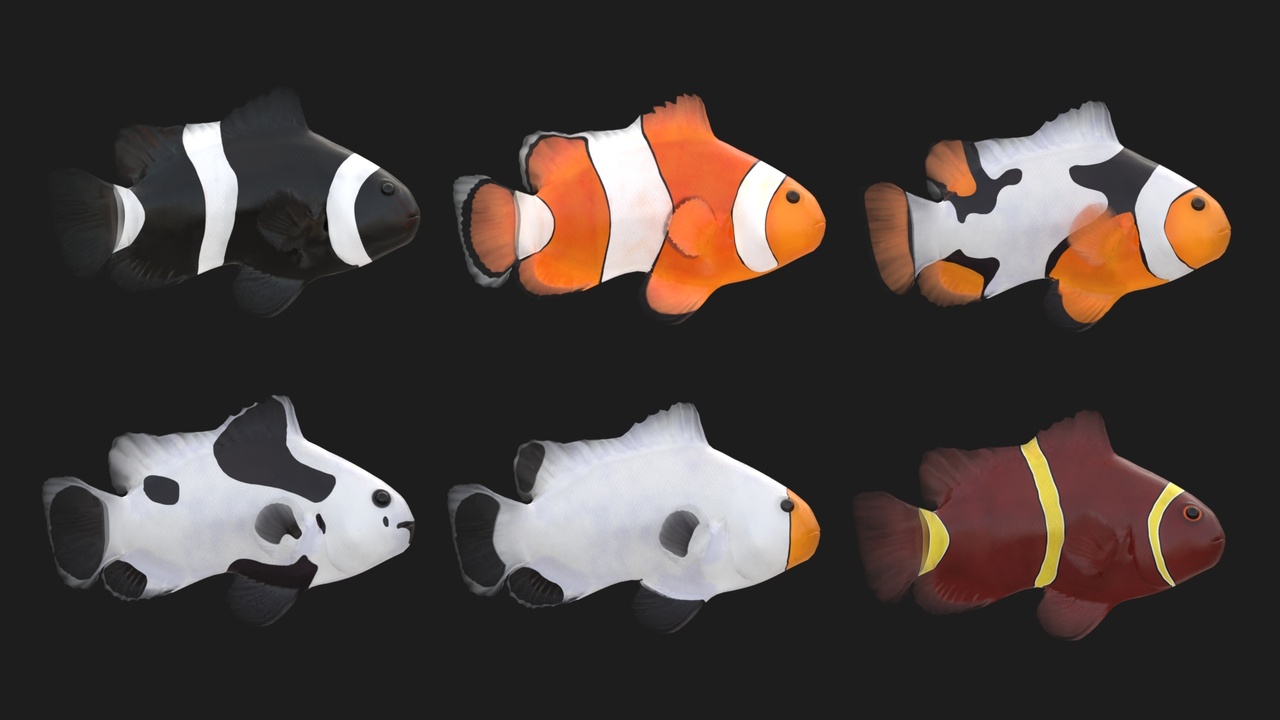 Media 1 for listing Clownfish Pack (animated)
