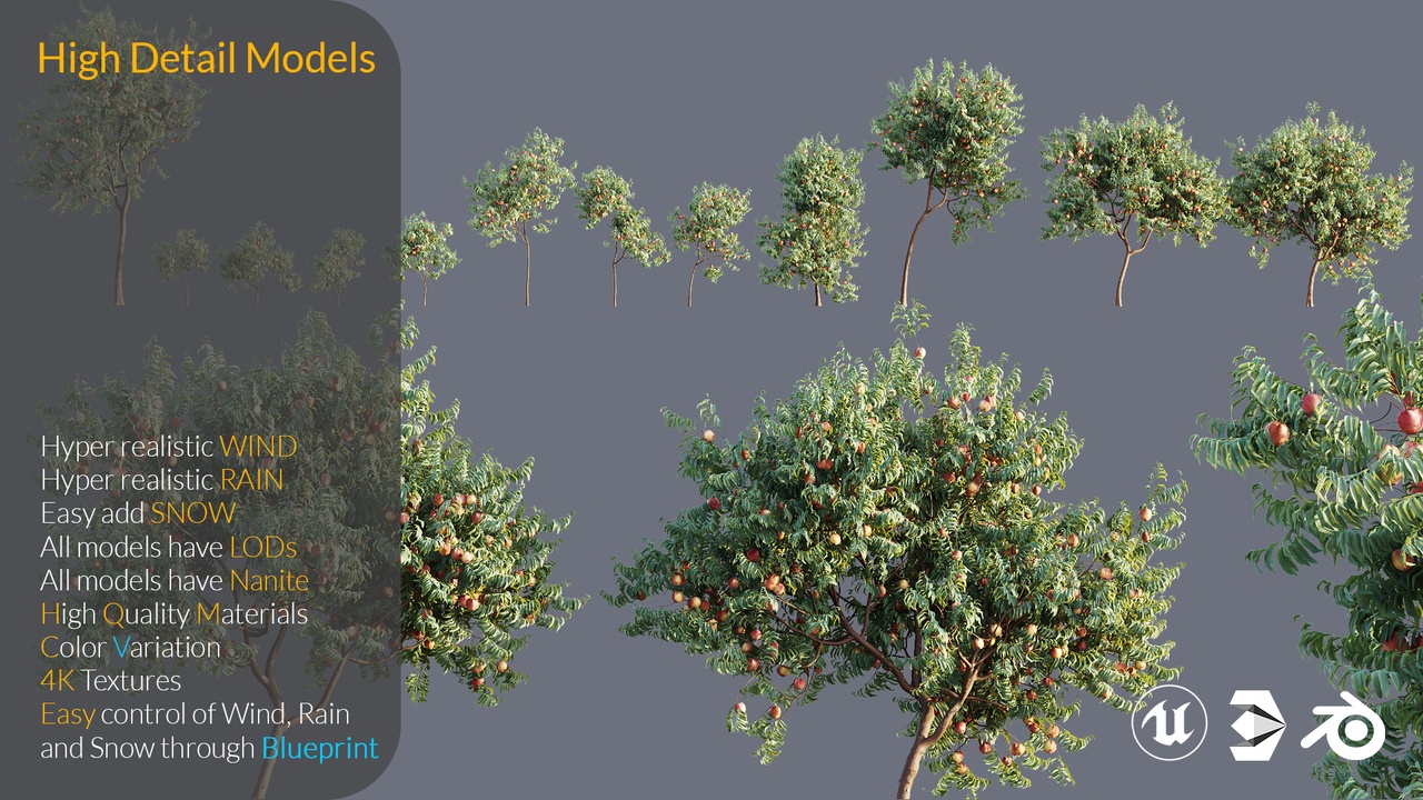 Medios 1 para el artículo XQ High Detail 3D Model Assets Plant Amygdalus Persica Peach Fruit Tree