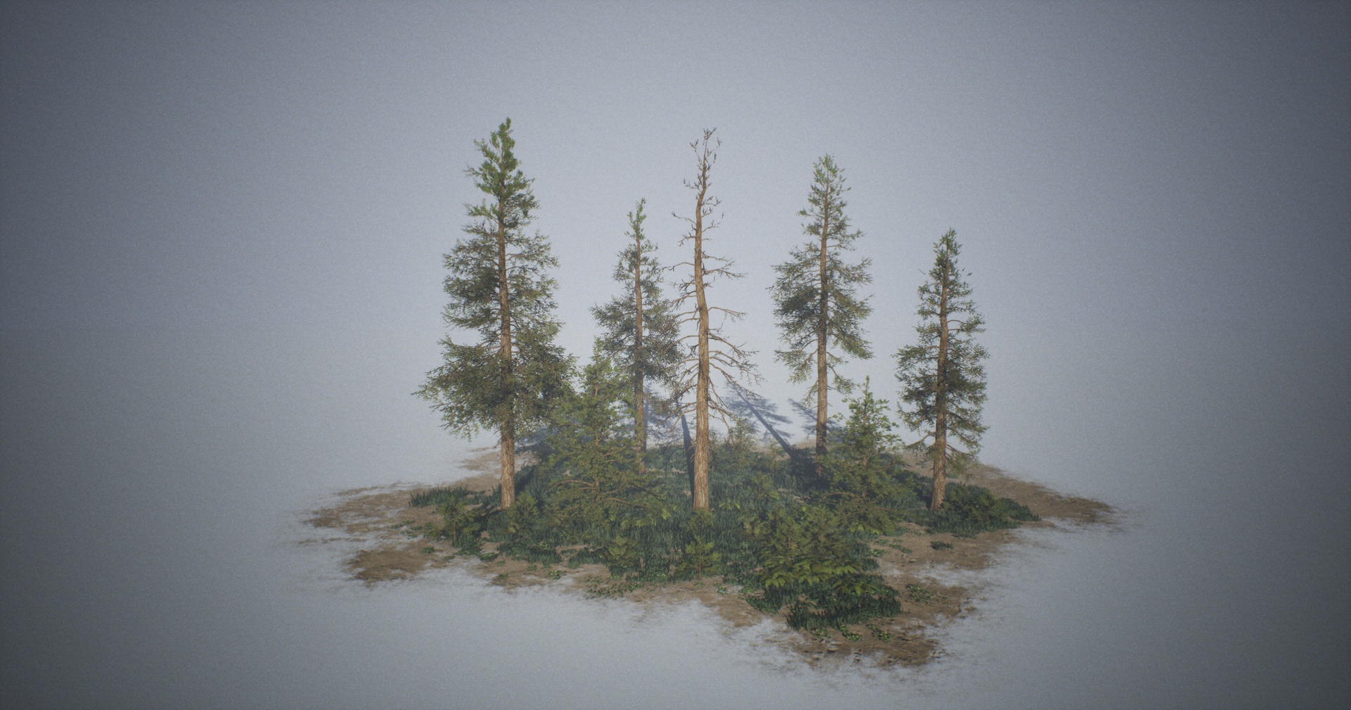 Media 1 for listing Pine Tree Forest Pack (Nanite + Low Poly)