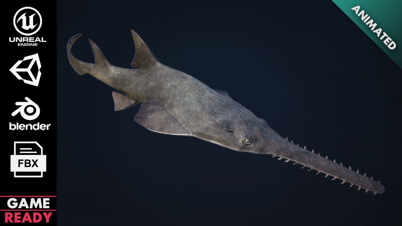 Media 1 for listing Saw Fish