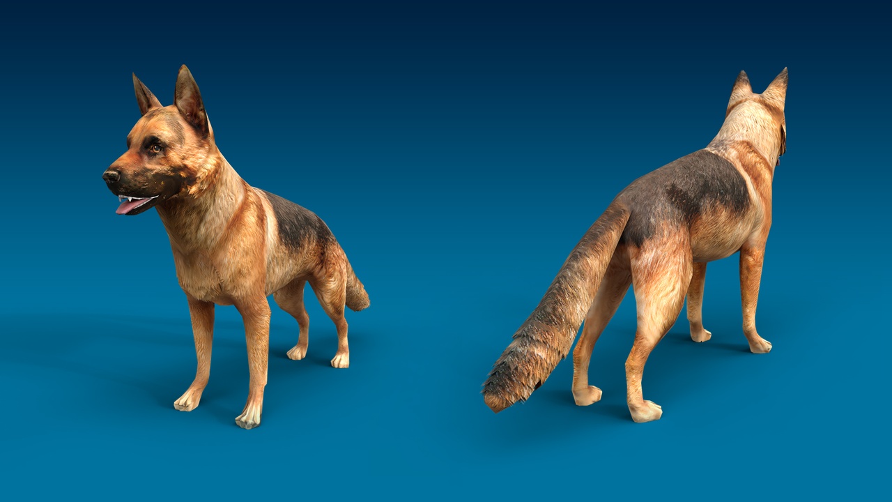 Media 1 for listing German Shepherd 3D Dog Model