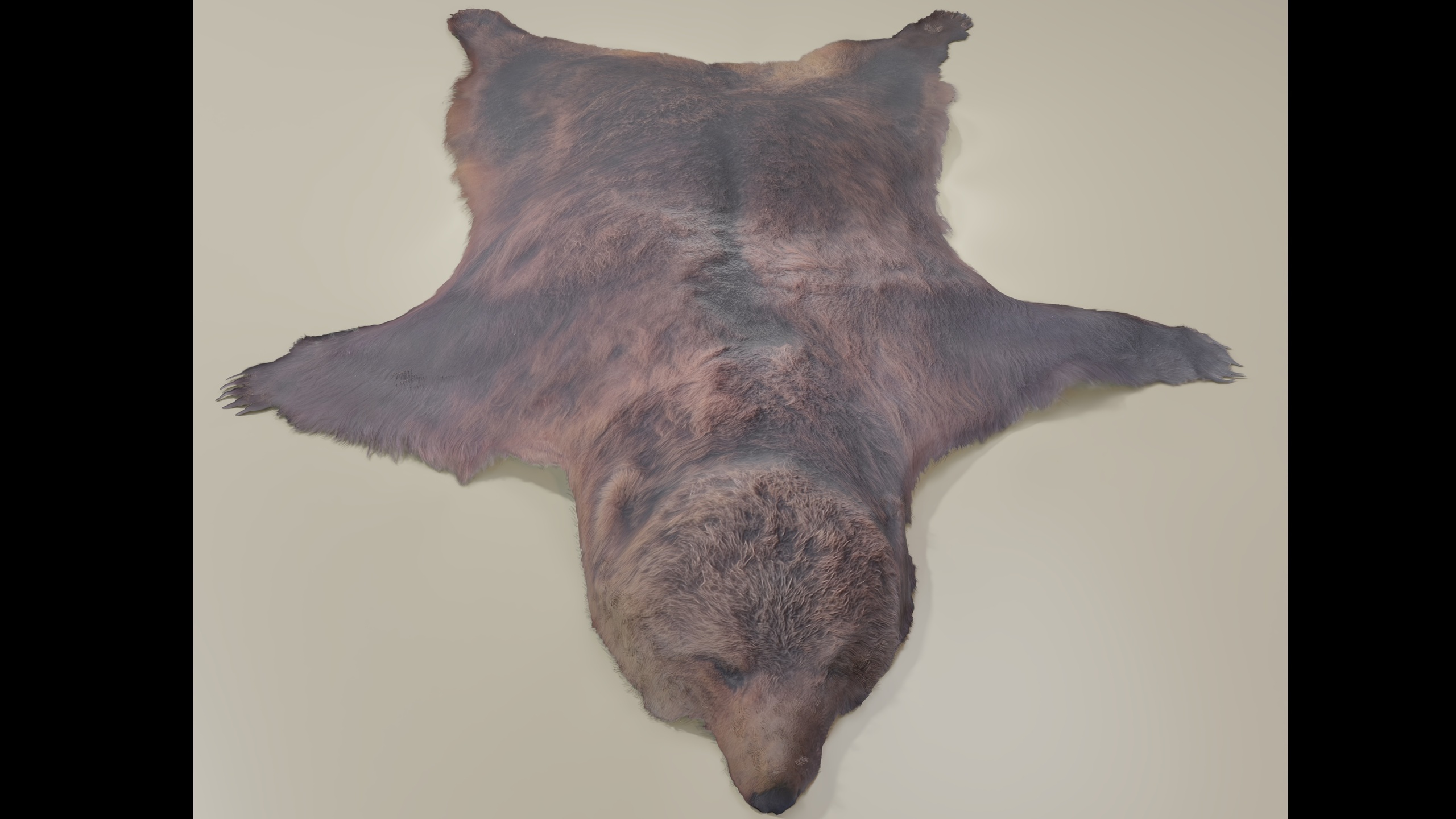 Media 1 for listing Bear pelt hide fell realistic displaced with Hair 4k