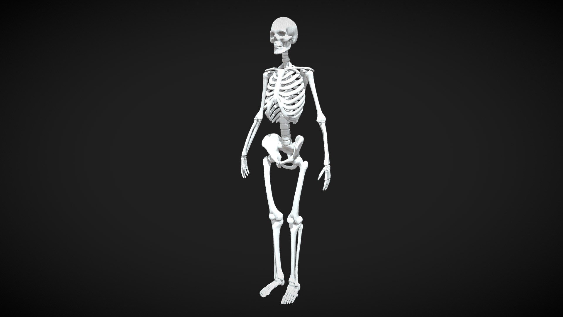 skeleton | Fab