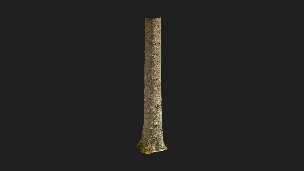 Nordic Forest Tree Trunk Spruce Large | Fab
