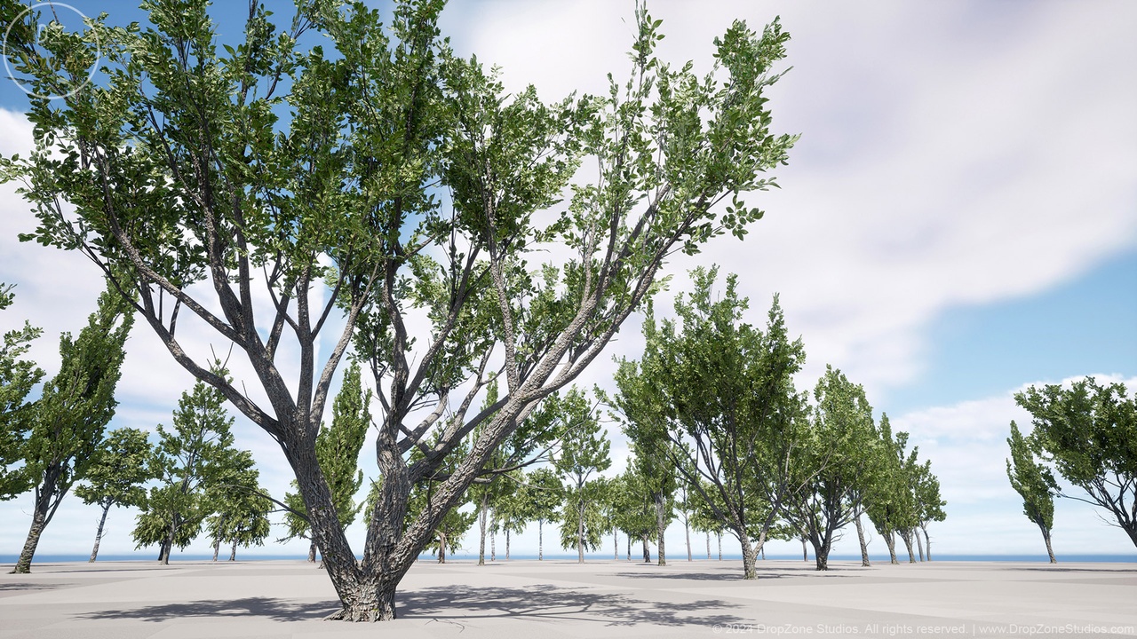 Media 1 for listing DZ Trees - Low Poly Deciduous Trees 2 (Birches, Aspens and Willows)