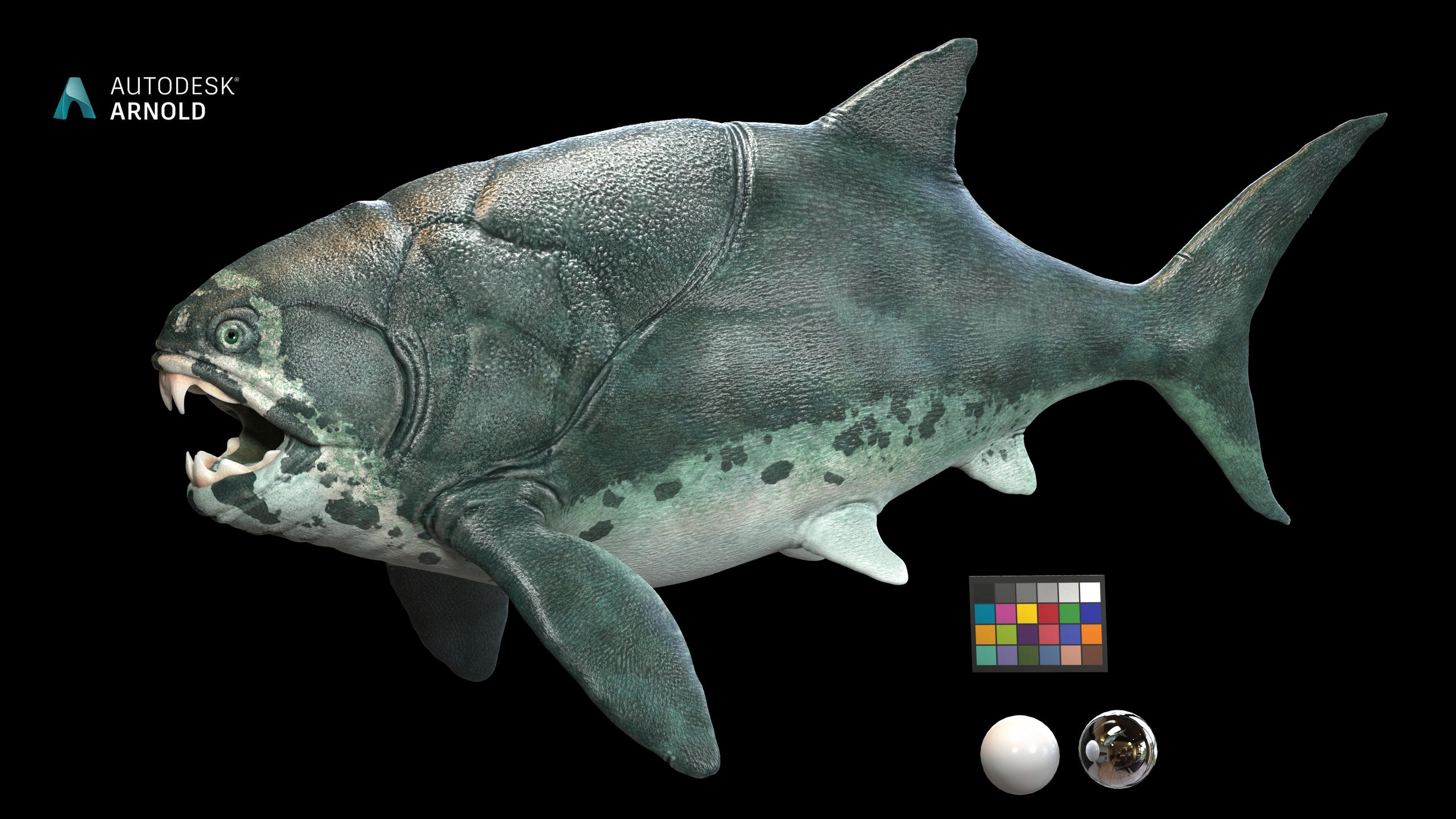 Media 1 for listing Dunkleosteus terrelli