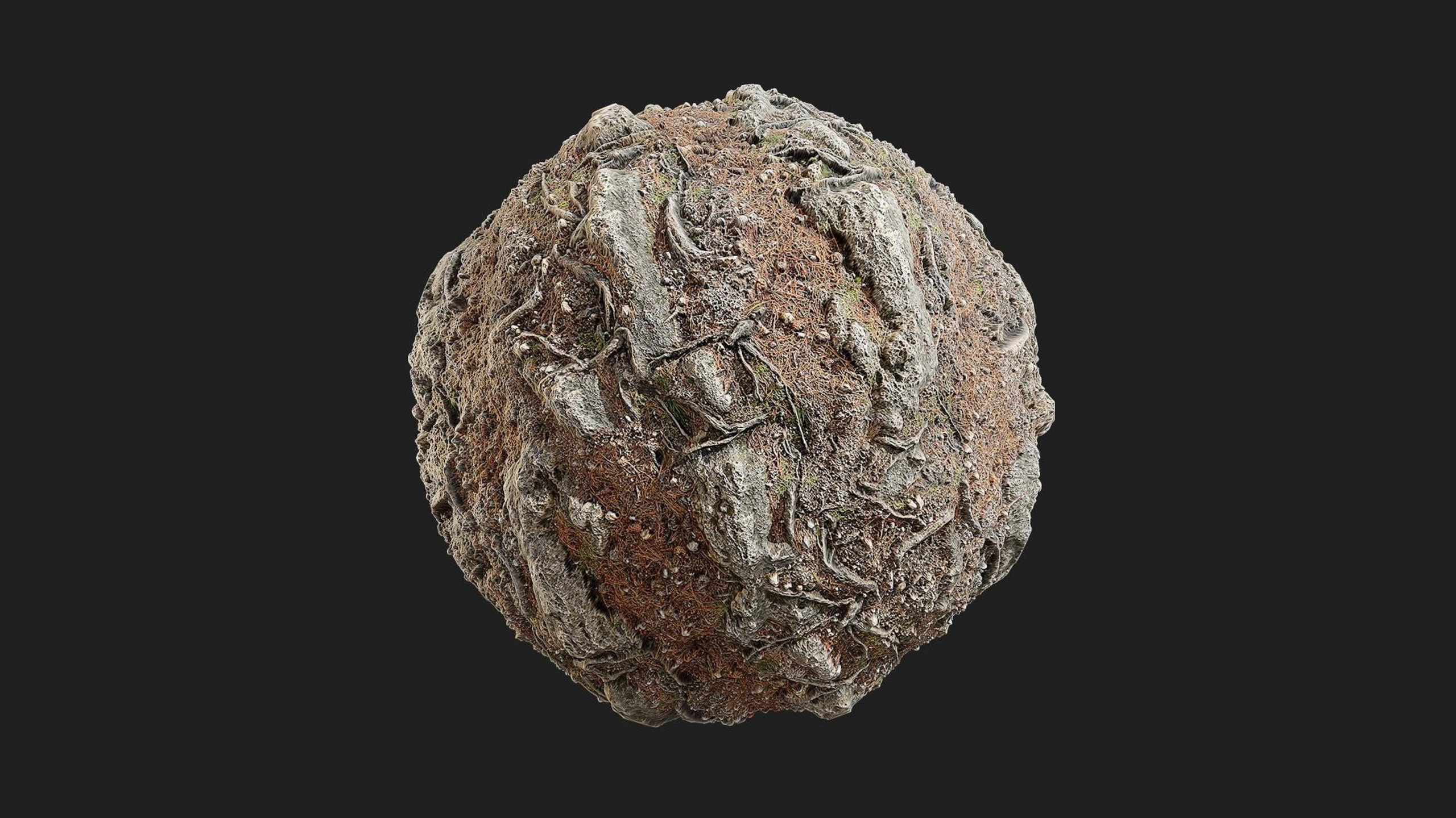 Media 1 for listing Rocky Forest Floor
