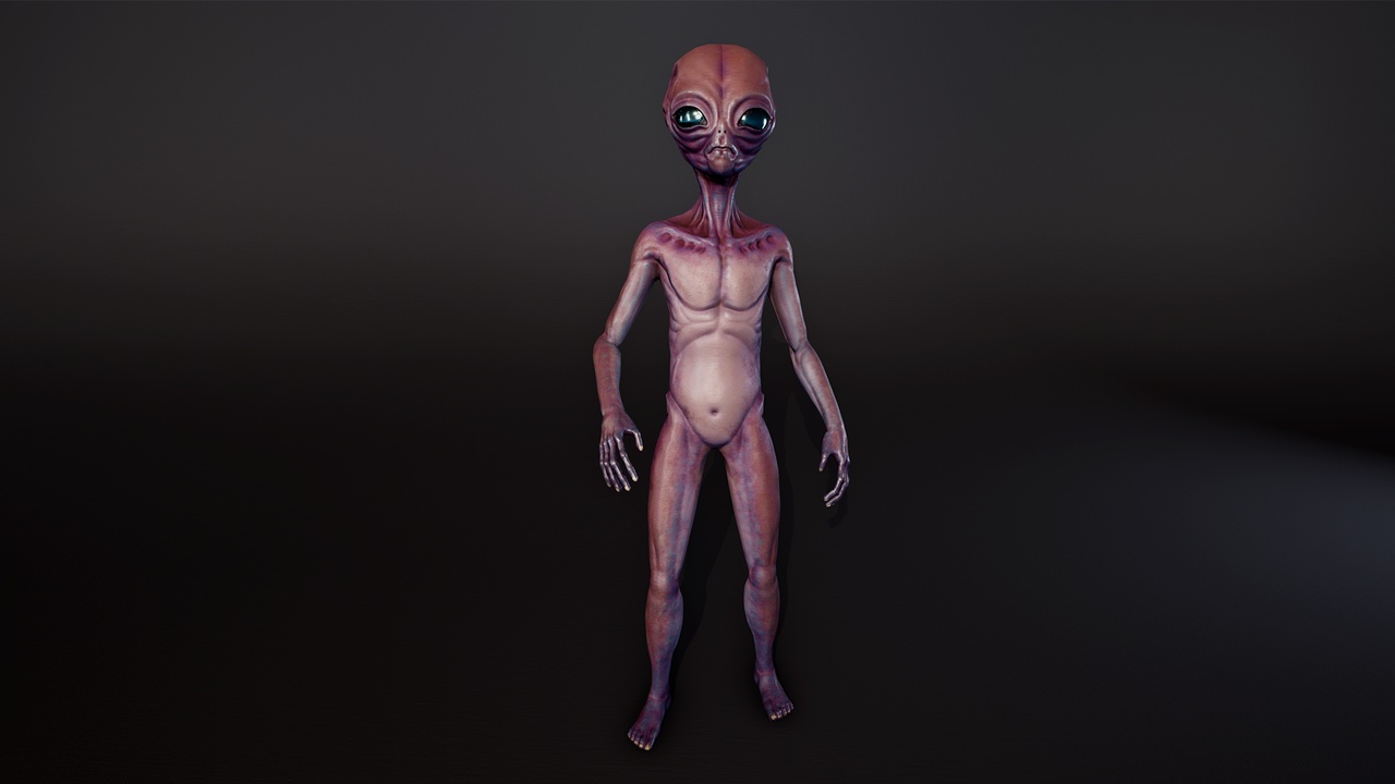 Media 1 for listing Alien02