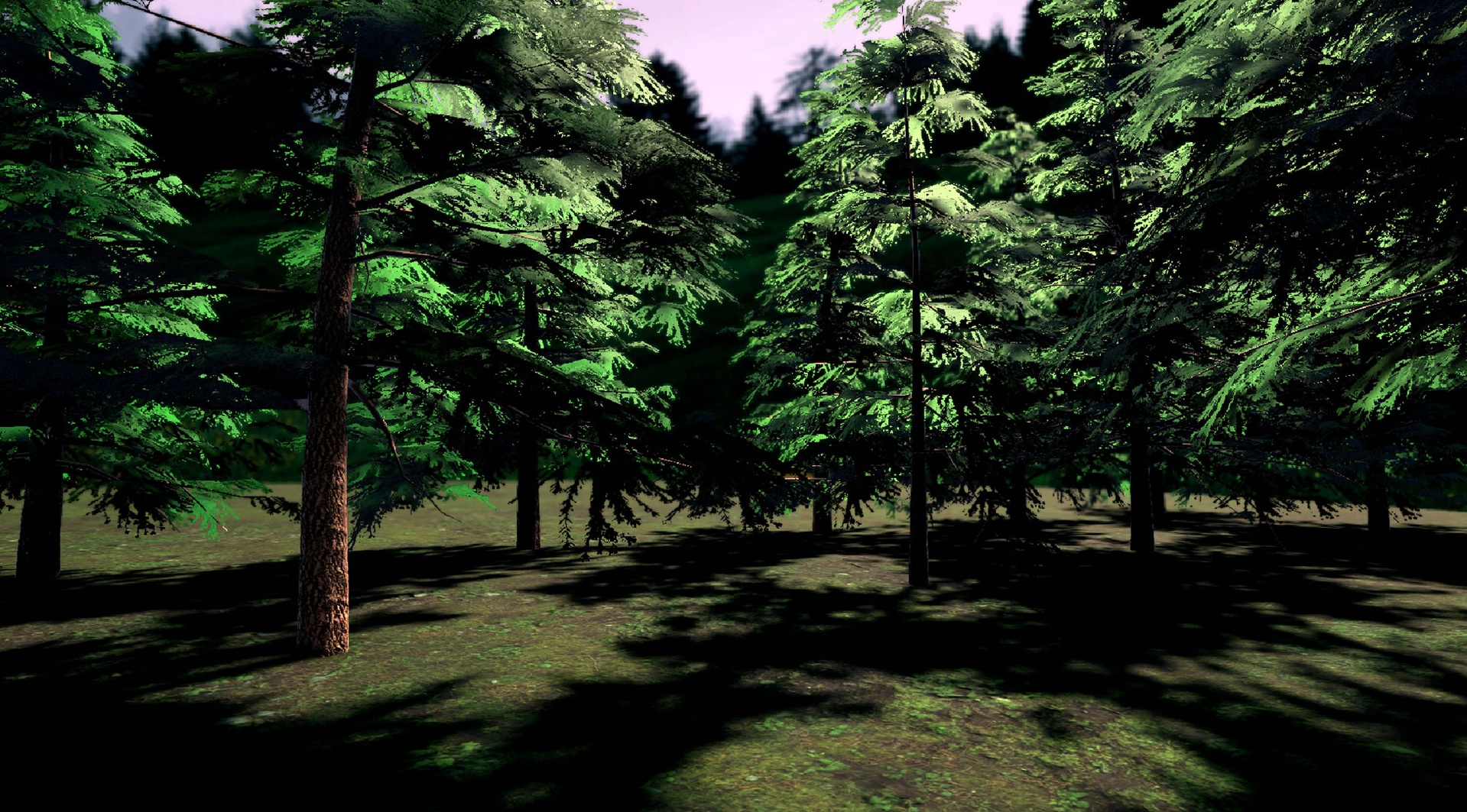 Media 1 for listing Gen05FirTrees01