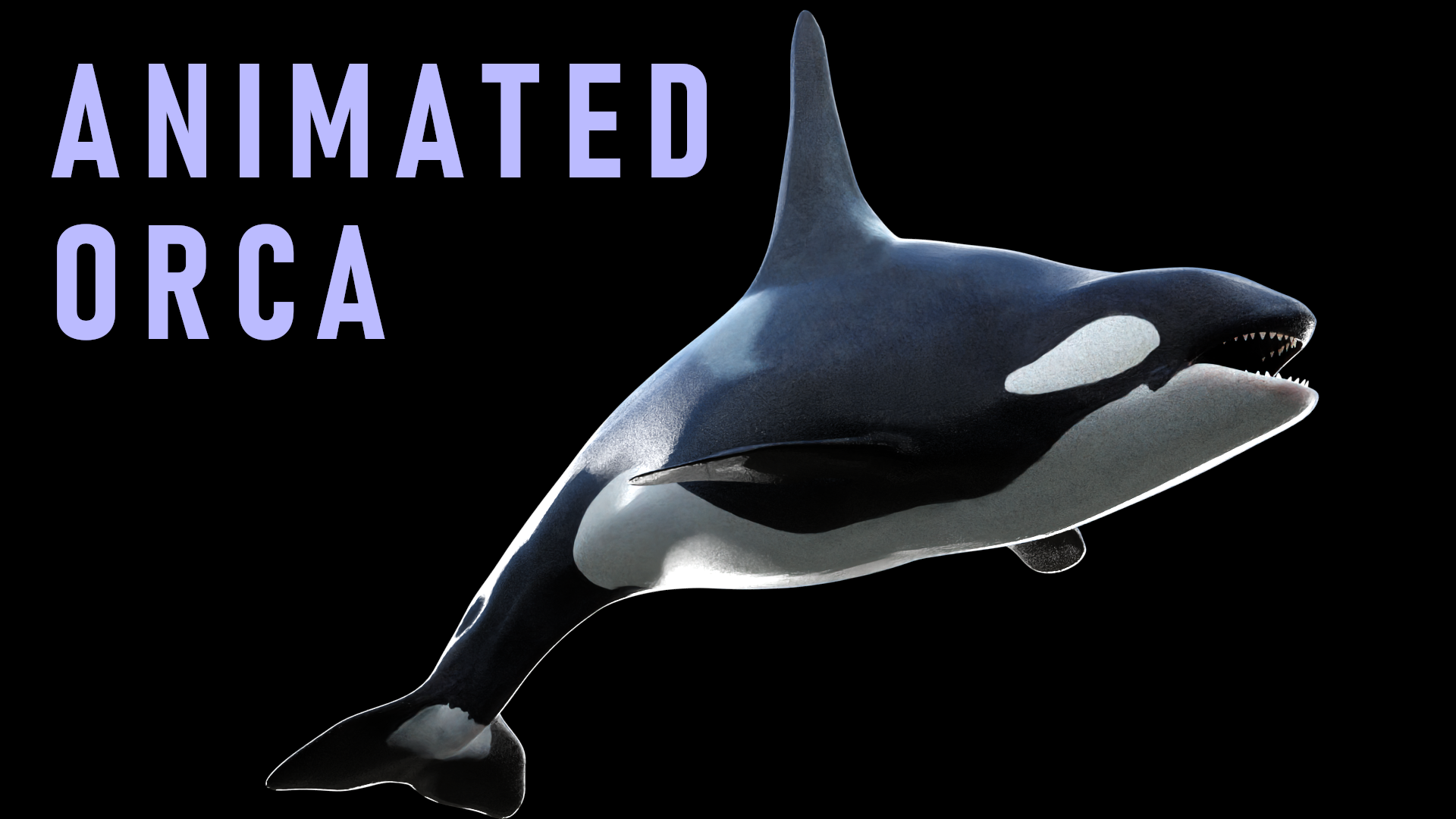 Bite Animation Lowpoly Orca | Fab