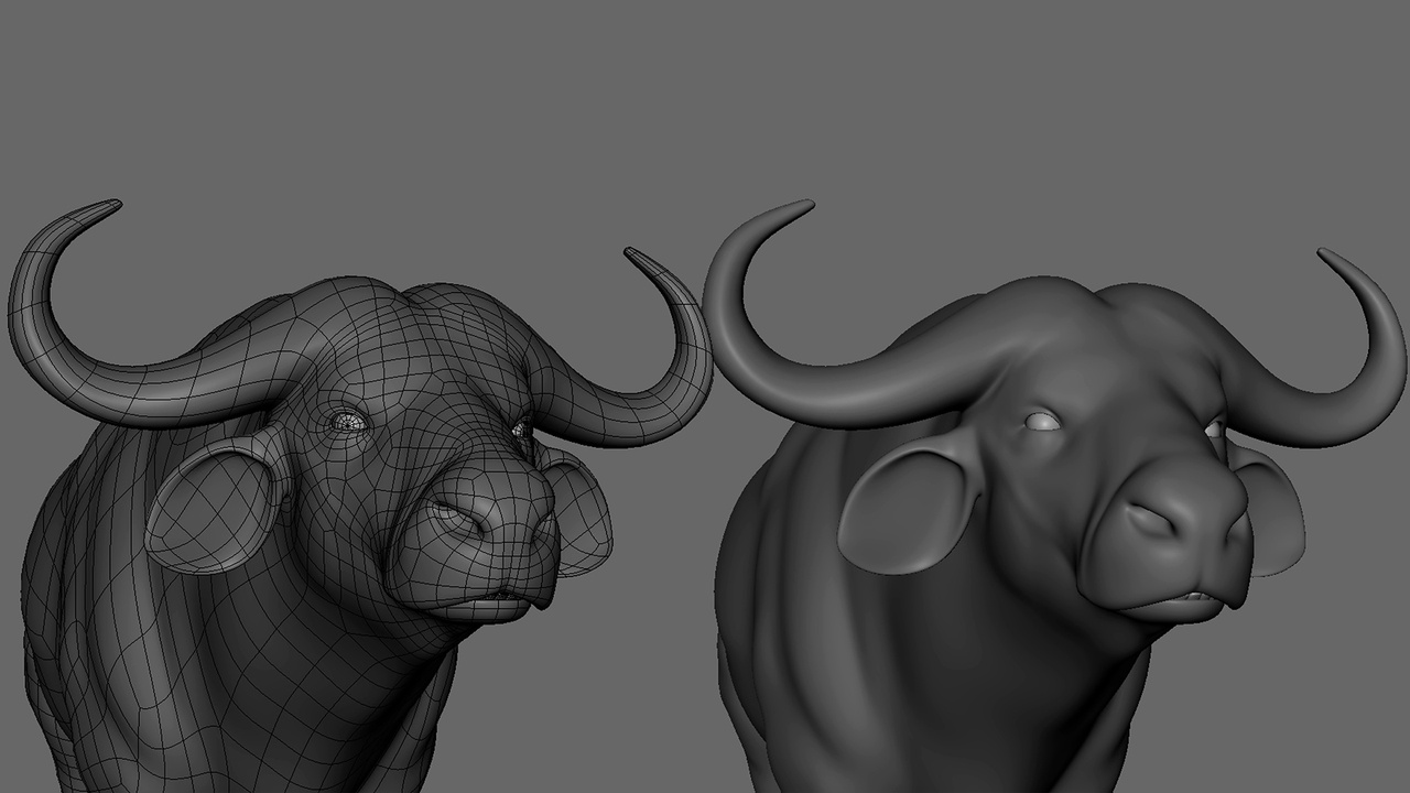 Media 1 for listing African Buffalo - Topology + UV Map