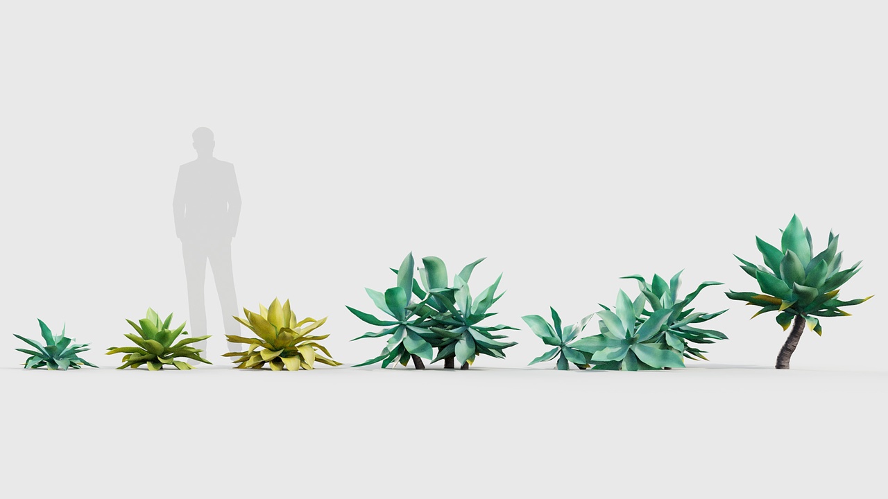Media 1 for listing Australia Plants Collection