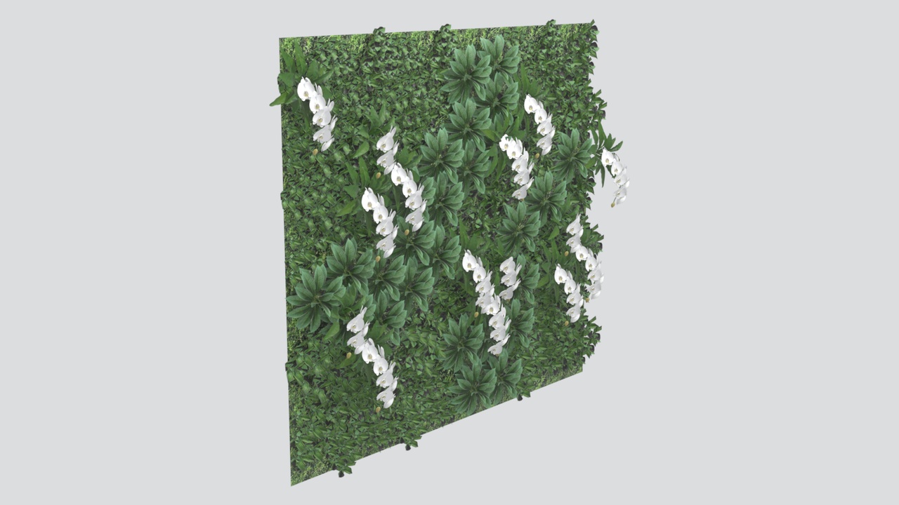 Media 1 for listing Vertical Garden Wall with White Orchid Sprays and Rosette Plants 3D Model