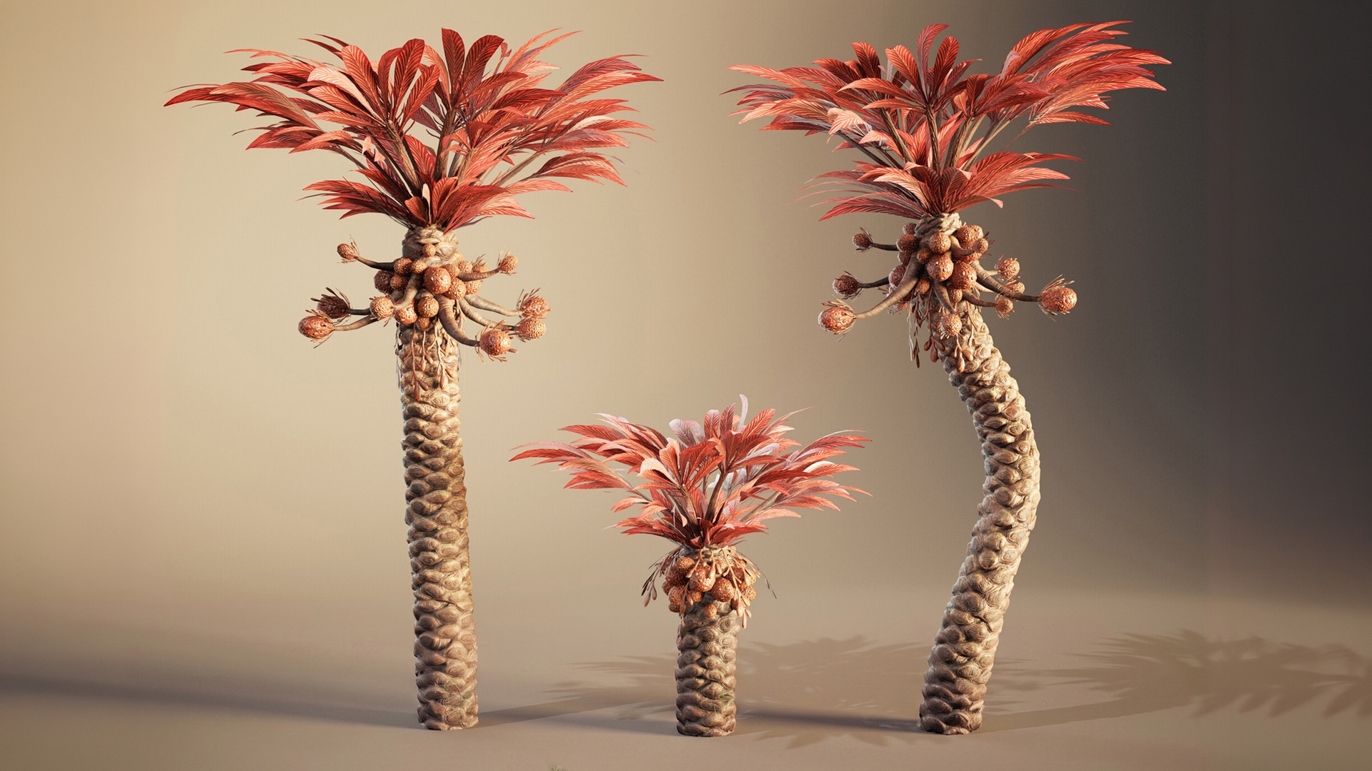 Media 1 for listing Alien Tree - Palm