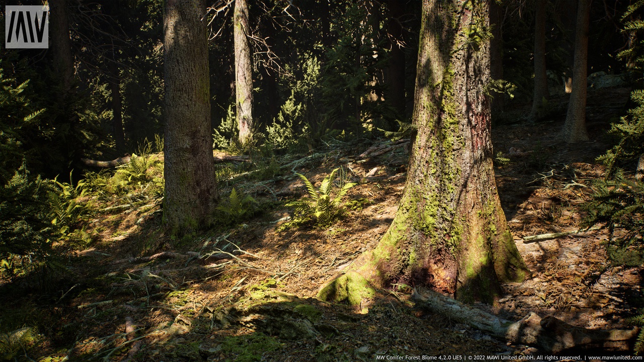 商品 MW Conifer Forest Trees Biome 的媒体 1