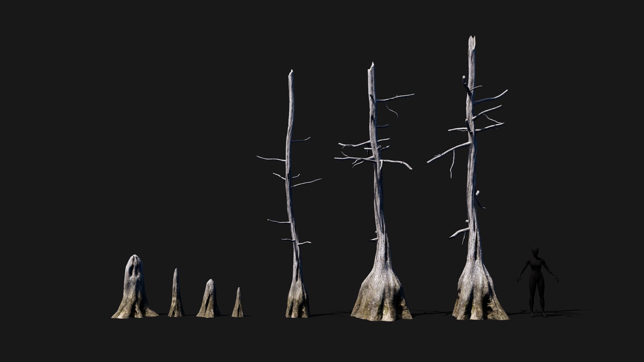 Media 1 for listing Realistic mid poly dead Bald Cypress Tree set