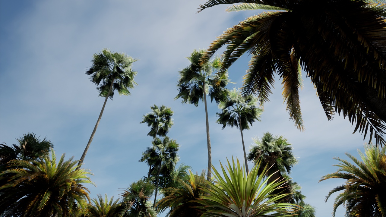 Media 1 for listing Big palms pack