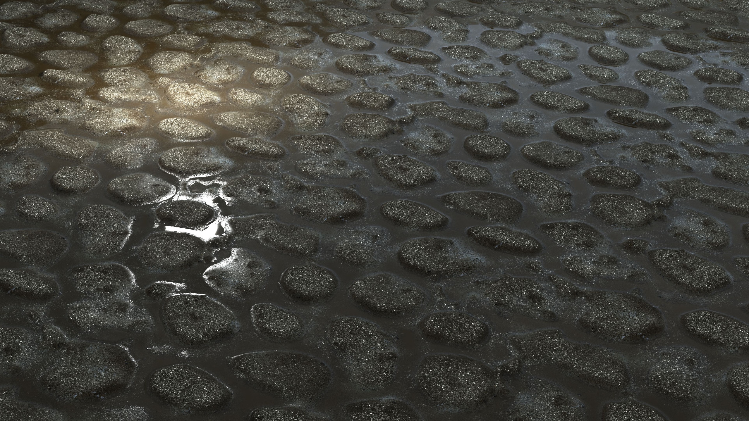 Media 1 for listing Beach Rock 8K PBR Texture