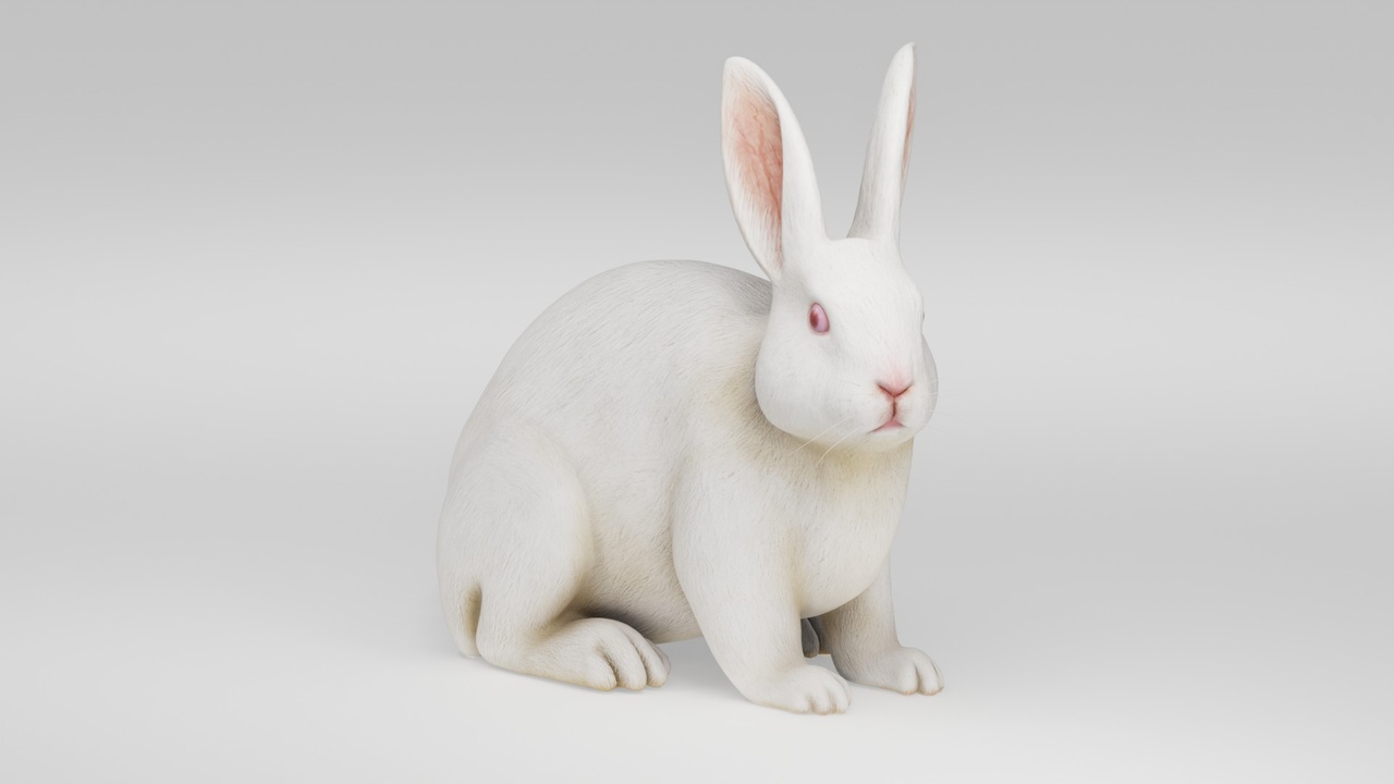 Media 1 for listing Realistic White Rabbit Bunny