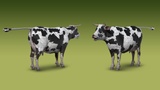 Asset image