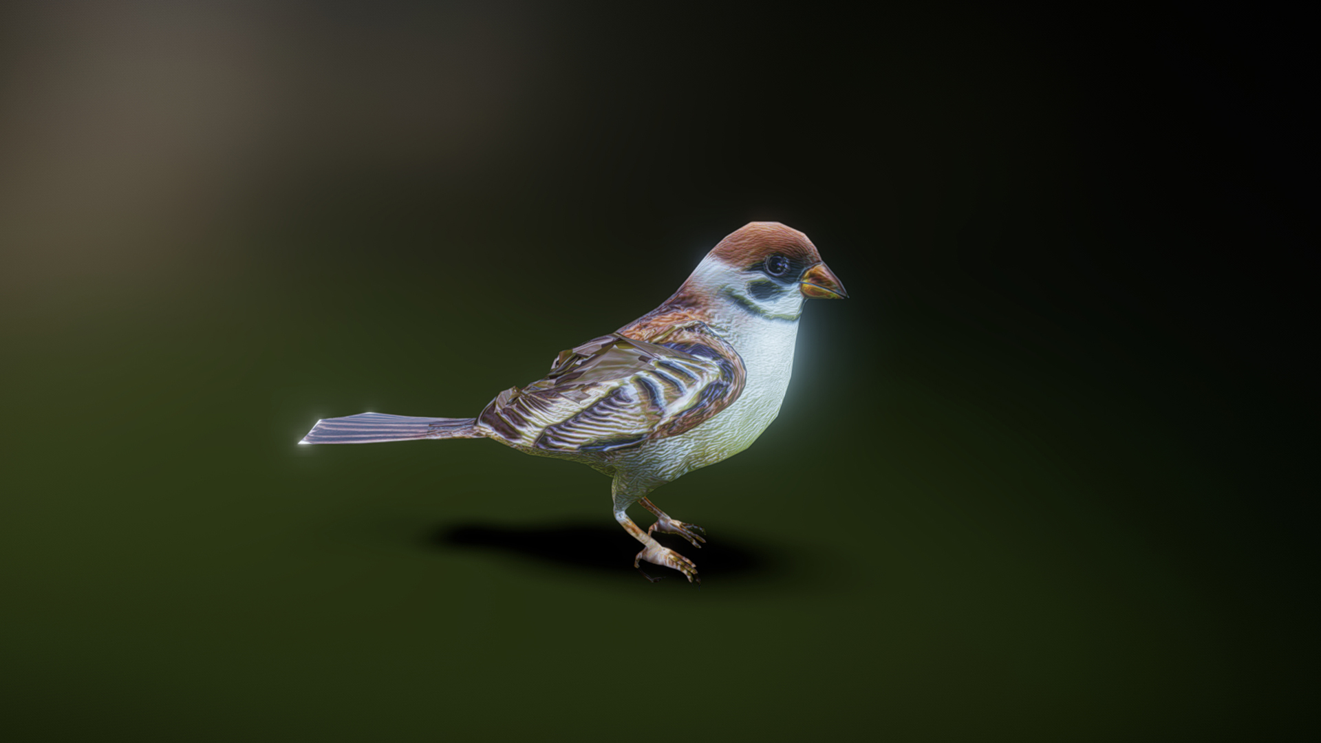 300 frames of bird binding animation E | Fab