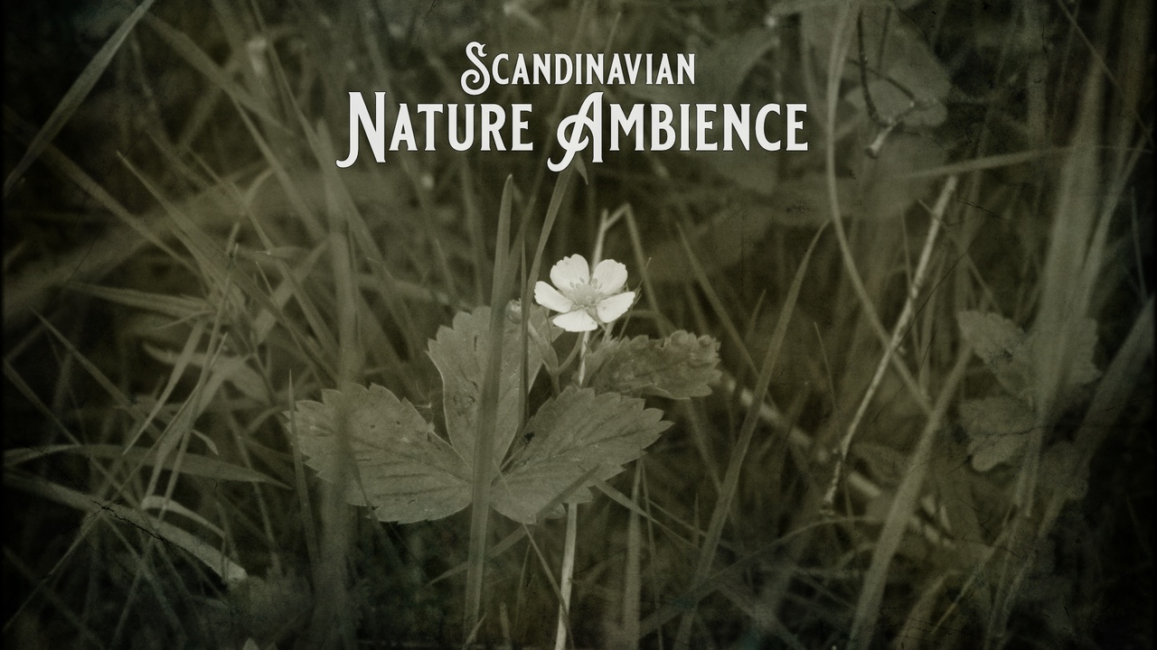 Media 1 for listing Scandinavian Nature Ambience