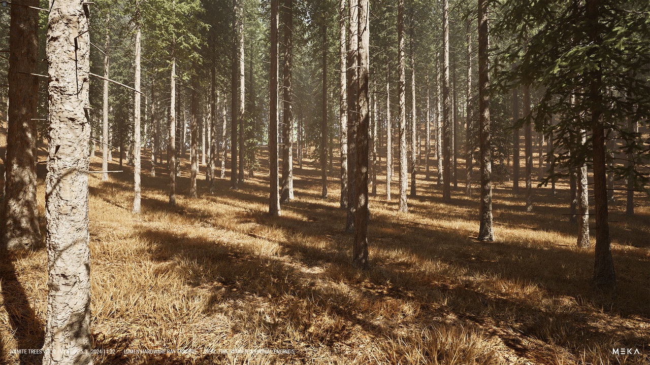 Media 1 for listing TALL PINE TREES