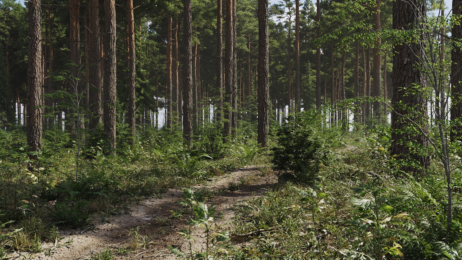 Media 1 for listing Forest Biomes Scene 01 Archmodels Vol 308