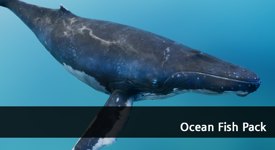 Ocean Fish Pack | Fab