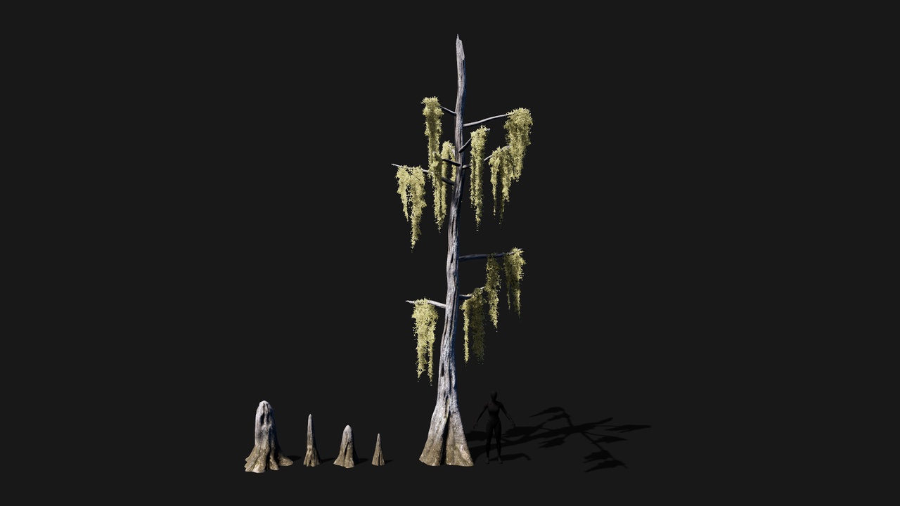Mid Poly Asset Realistic mid poly Bald Cypress Tree | Fab